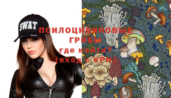ешки Алзамай