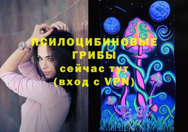 ешки Алзамай